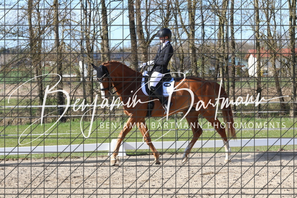 AZ2A5261 | Benjamin Bartmann Photomoments