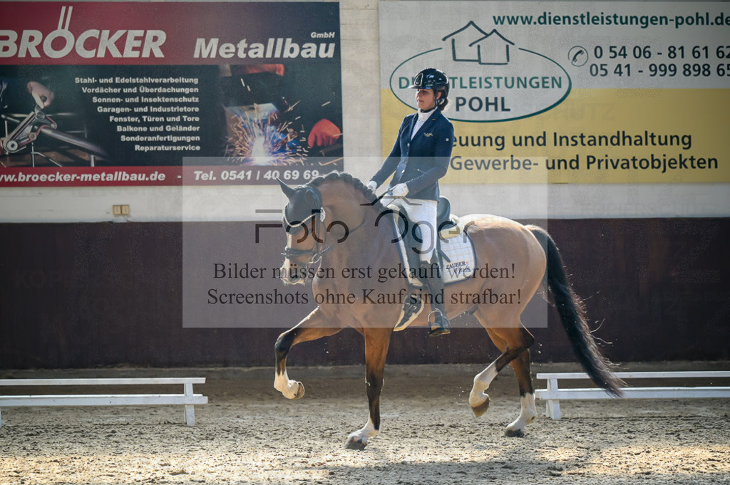 Reitturnier Voxtrup | Entdecke hochwertige Reitturnierfotos von Foto Oger. Professionell, emotional und authentisch – jetzt Lieblingsmomente im Shop bestellen.Deutschlandweite Turnierfotografie. - Realisiert mit Pictrs.com