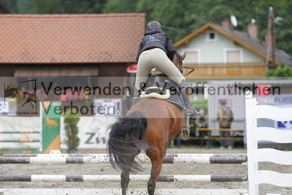 _MG_3788 | equestrian-live-com