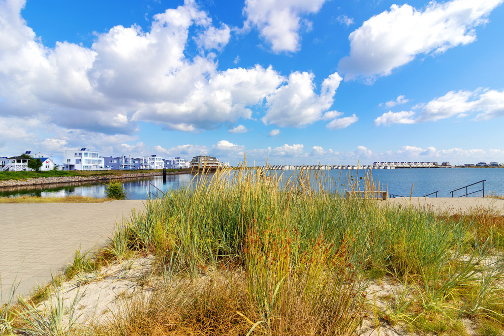 Wandbild: Strandhafer in Olpenitz | Dieses Wandbild im Querformat zeigt Strandhafer an der Promenade in Olpenitz. Am blauen Himmel befinden sich schöne sommerliche Wolken.  - Realisiert mit Pictrs.com