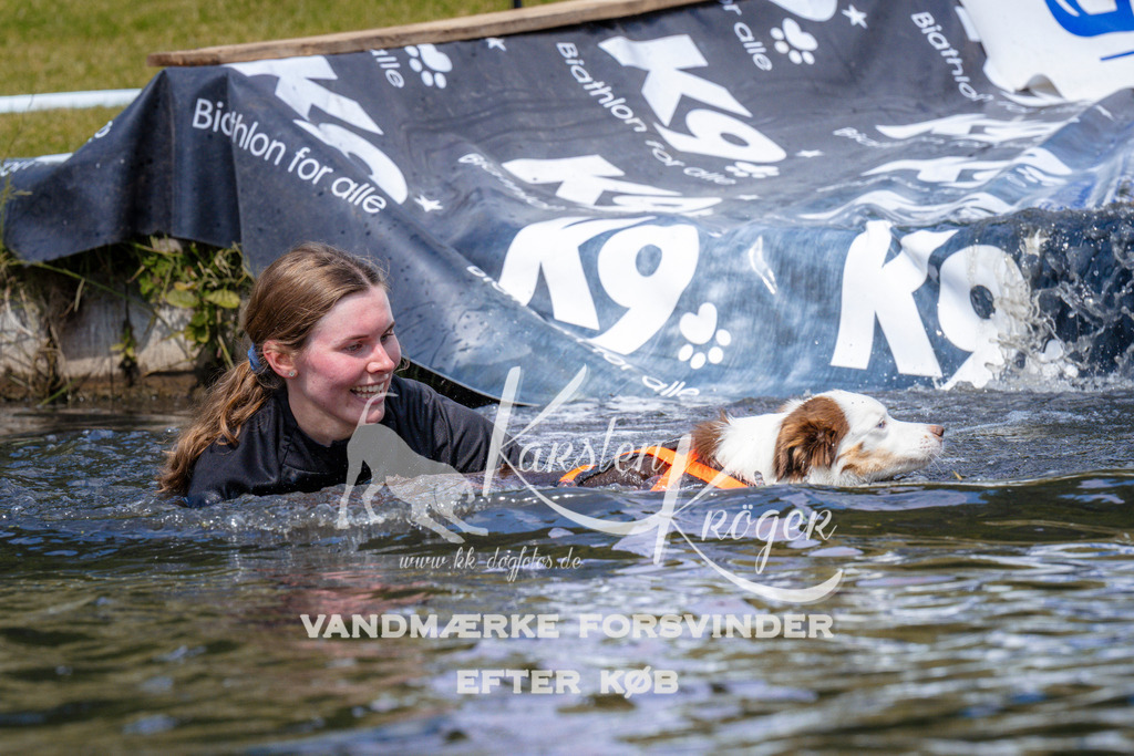 _ZZ981571035 | kk-dogfotos