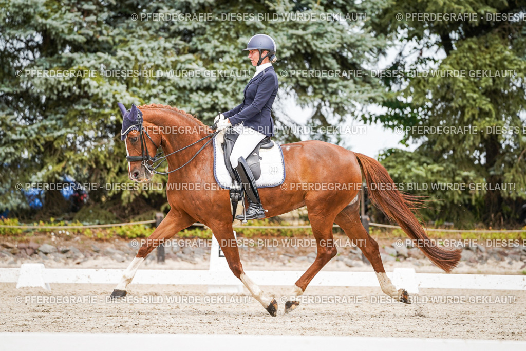 DSC05190 | Pferdegrafie