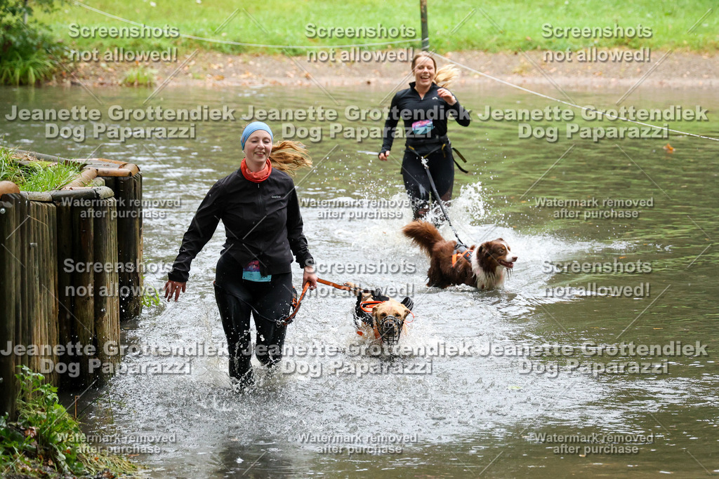 Dog Paparazzi -  SD1026-8361 | Dog Paparazzi Jeanette Grottendiek Fotografie & Videografie - Realisiert mit Pictrs.com