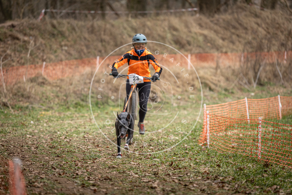 Pfotenfotografie_DV3A7265 | Hundefotografie, Tierfotograf, Pfotenfotografie, Fotoshooting Hund, Hunde Portrait, Hundesport, Hundeportraits, Heideshooting, Hunde, Sportfotograf, Hundefotograf, Turnierhundsport, THS,  - Realisiert mit Pictrs.com