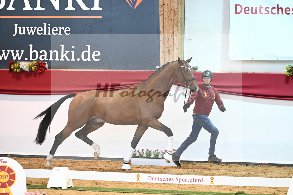 Kat-Nr. 9 Bonds x Hotline_Buergy_43231577 | hf-fotografie - Realisiert mit Pictrs.com