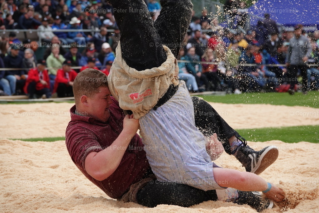 DSC03838 | Schwingen - Realisiert mit Pictrs.com