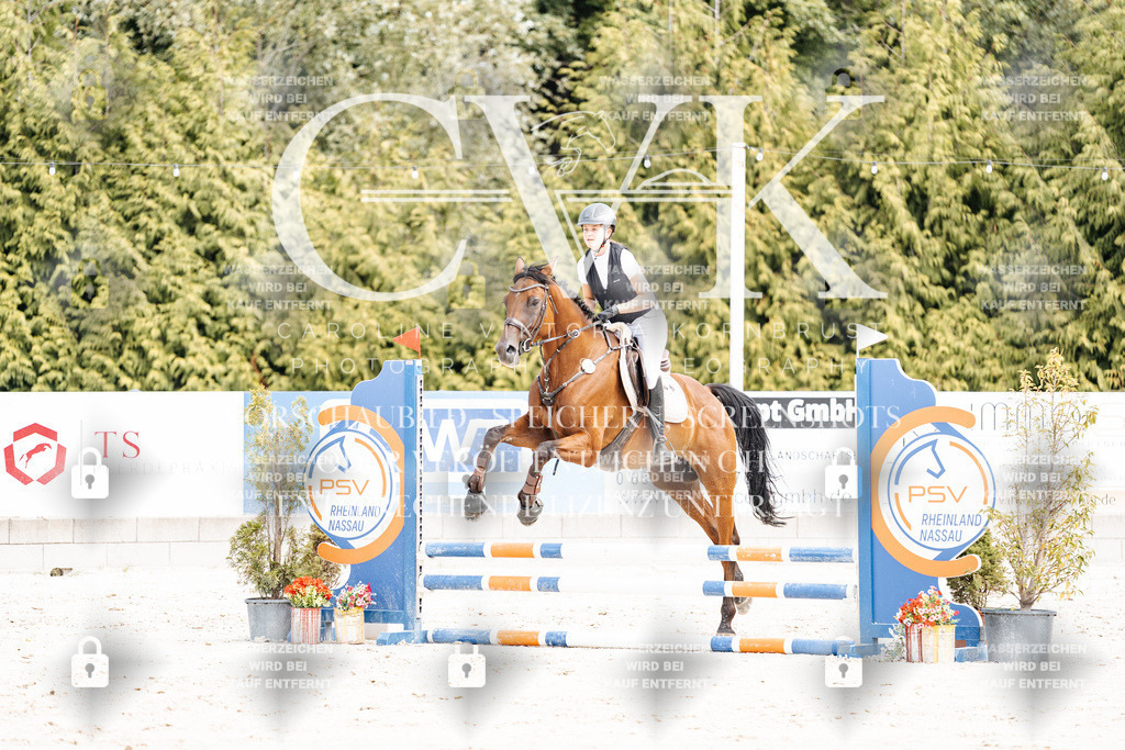 CK906570 | Turnierfotografie Pferdefotografie Trier Rheinland-Pfalz Pferdesport Reitsport Tierfotografie Sportfotografie Pferdevideo Pferdevideografie Equestrianvideography equestrianphotography  - Realisiert mit Pictrs.com