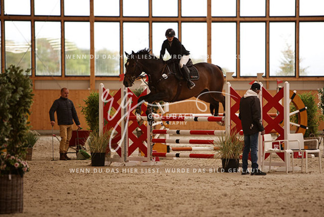 1J2A4541Louisa Schneider_ Viva Willy_ Kn493_ Hohen Wieschendorf_ Glantz | Foto- und Videografie für alles rund ums Pferd. Hochwertige Bilder und Videos vom Spring- und Dressurreiten, Voltigieren & mehr. Jetzt aktuelle Veranstaltungen und Preise im Shop ansehen. - Realisiert mit Pictrs.com