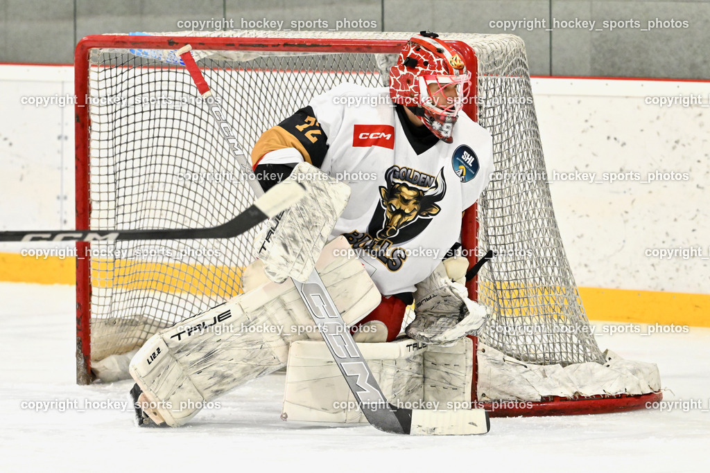 Kuss & Kuss Kings vs. Golden Bulls | #72 Kavic Jan Golden Bulls, Kuss & Kuss Kings vs. Golden Bulls, Kuss & Kuss Kings vs. Golden Bulls am 30.05.2025 in Ferlach (HTC Eishalle Ferlach), Austria, (Photo by Bernd Stefan)