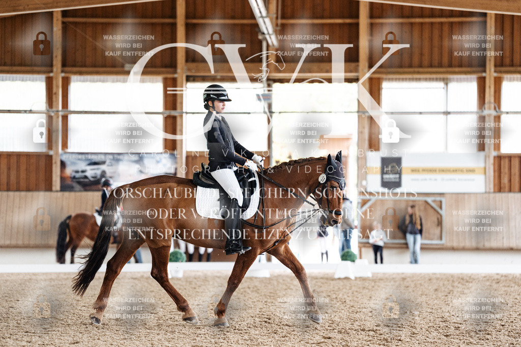 CK900594 | Turnierfotografie Pferdefotografie Trier Rheinland-Pfalz Pferdesport Reitsport Tierfotografie Sportfotografie Pferdevideo Pferdevideografie Equestrianvideography equestrianphotography  - Realisiert mit Pictrs.com