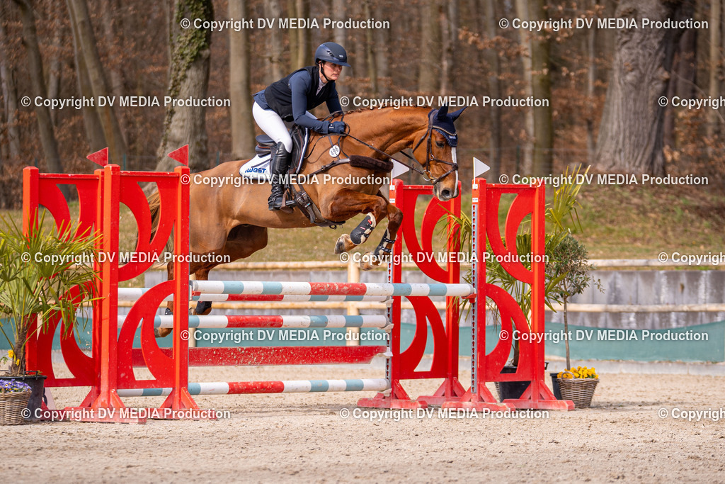 Kranichstein Tag 1-827 | dv-media-shop - Realisiert mit Pictrs.com