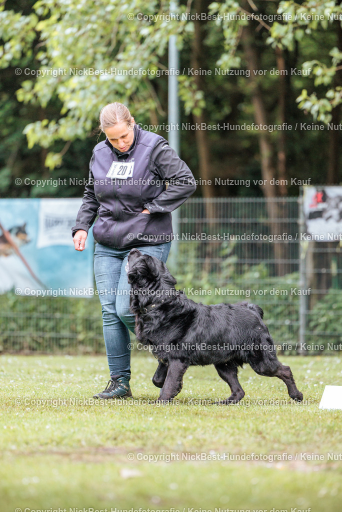 RO-Blumenthal-2026-Nickbest-Hundefotografie-4613 | Dein Hund! Dein Moment! Deine Erinnerungen! Hundefotografie in Bremen Blumenthal. Ich fange die besonderen Momente deines Vierbeiners ein – ob Indoor mit Blitzanlage oder in der freien Natur. Sicher dir dein Moment und dein Termin für eure Erinnerungen.