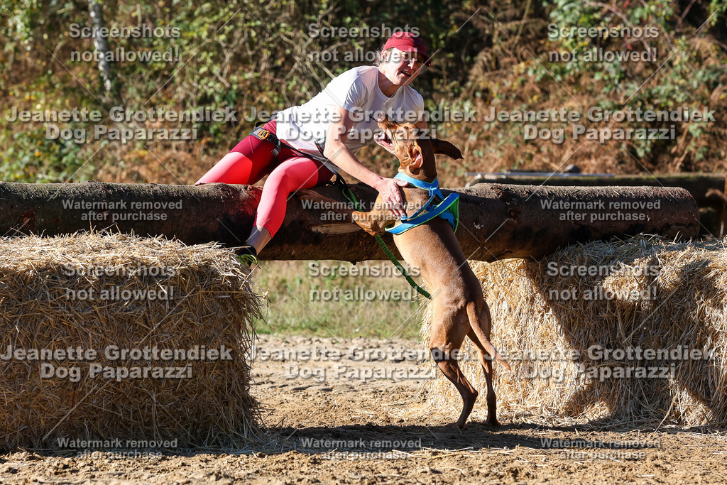 Dog Paparazzi - Strongdog 10-25-2341 | Dog Paparazzi Jeanette Grottendiek Fotografie & Videografie - Realisiert mit Pictrs.com