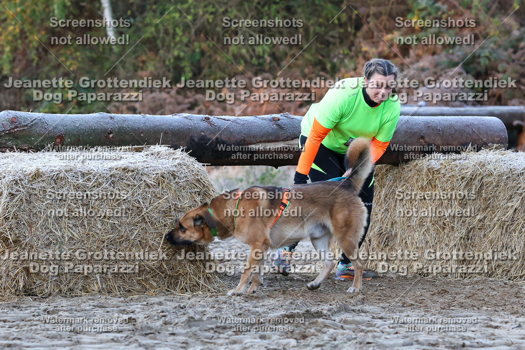 Dog Paparazzi - Strongdog 10-25-297 | Dog Paparazzi Jeanette Grottendiek Fotografie & Videografie - Realisiert mit Pictrs.com