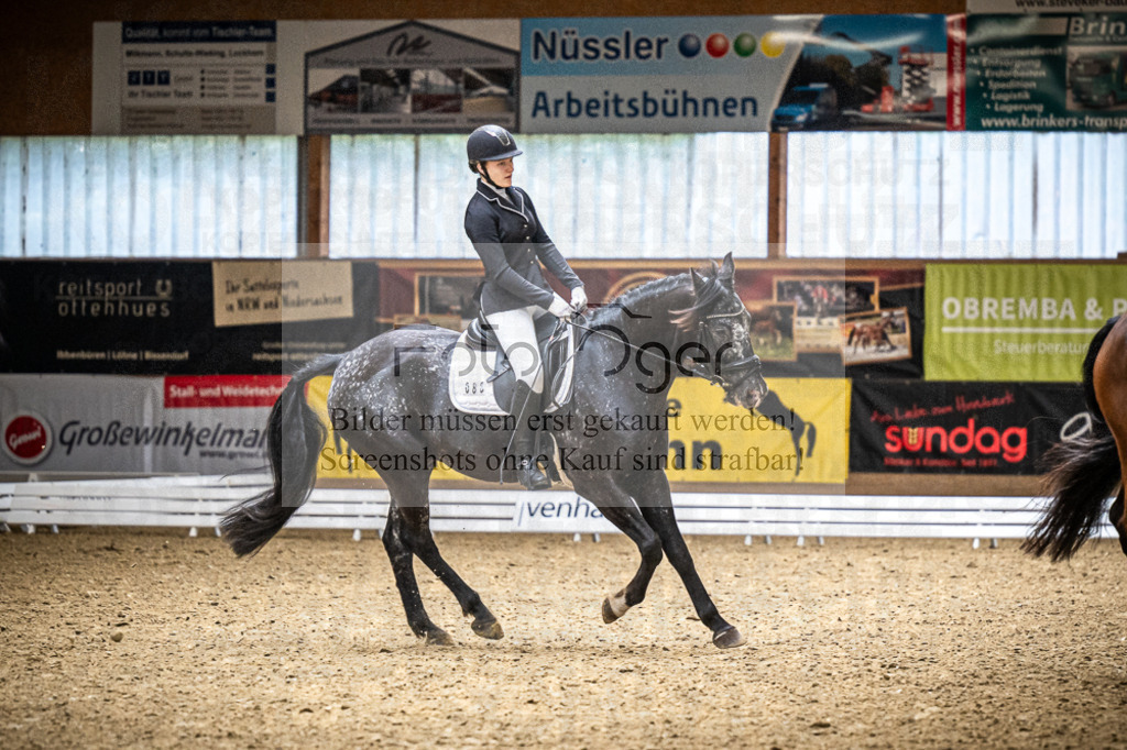 DOS_2517 | Entdecke hochwertige Reitturnierfotos von Foto Oger. Professionell, emotional und authentisch – jetzt Lieblingsmomente im Shop bestellen.Deutschlandweite Turnierfotografie. - Realisiert mit Pictrs.com