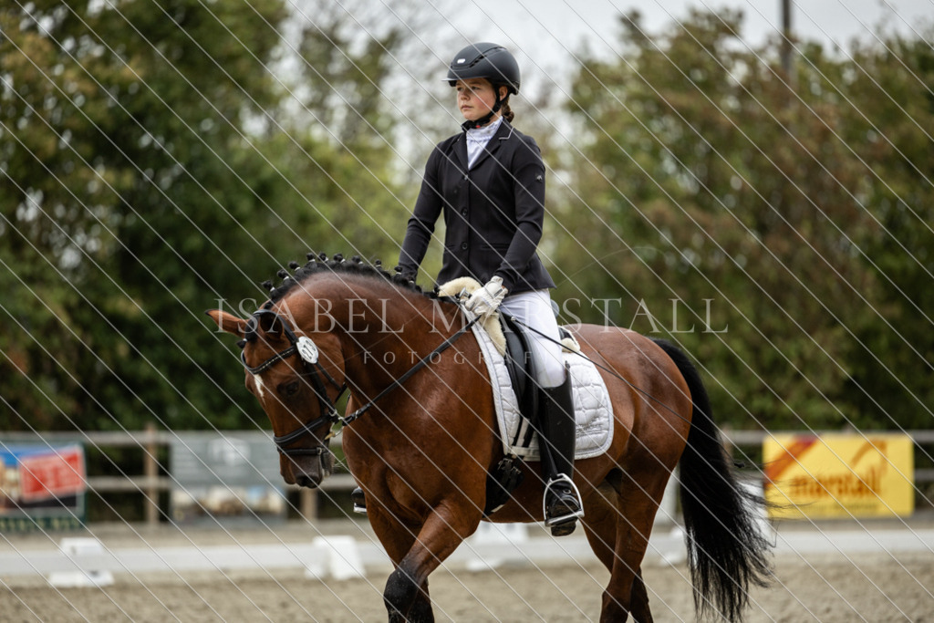 DK5A7585 | Isabel Marstall Fotografie - Realisiert mit Pictrs.com
