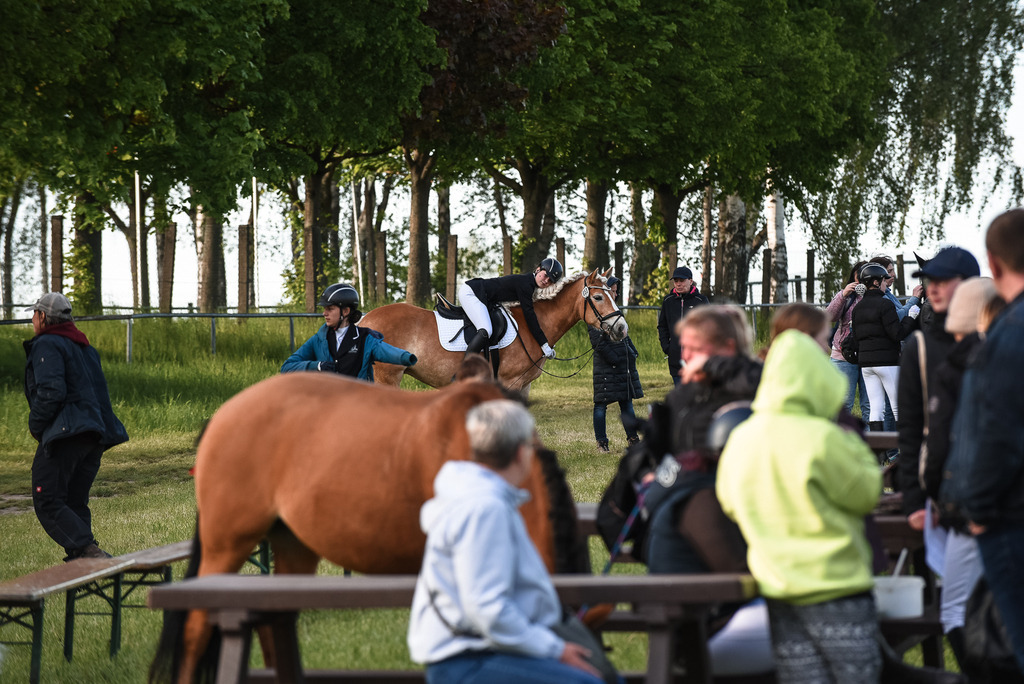 DSC_5567 | Pferde- und Turnierfotografie in Westsachsen. Pferdeportraits, Auftragszeichnungen und intuitive Kunst.