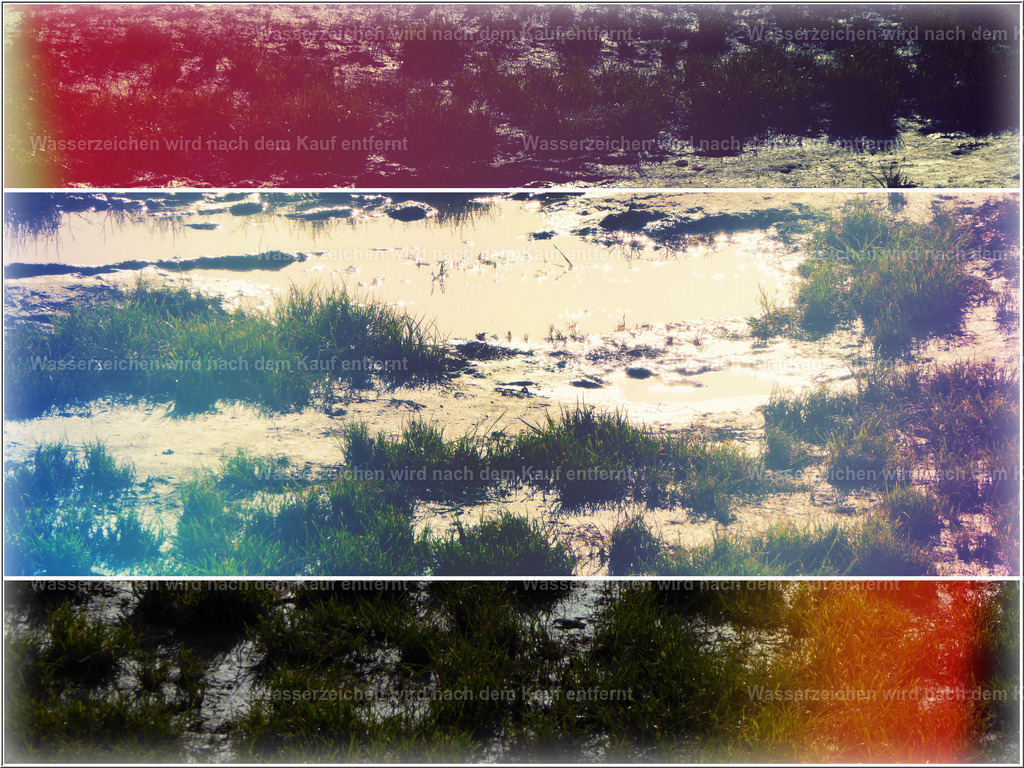 Landschaft in 3 Dimensionen | Die Rheinwiese farblich verändert - Realisiert mit Pictrs.com