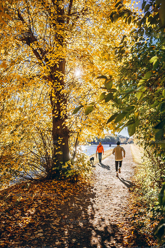 Clara Park | Der Clara-Zetkin-Park in Leipzig ist ein beliebter Ort für Natur, Sport und Erholung – perfekt für Spaziergänge, Jogging und entspannte Stunden im Grünen. - Realisiert mit Pictrs.com