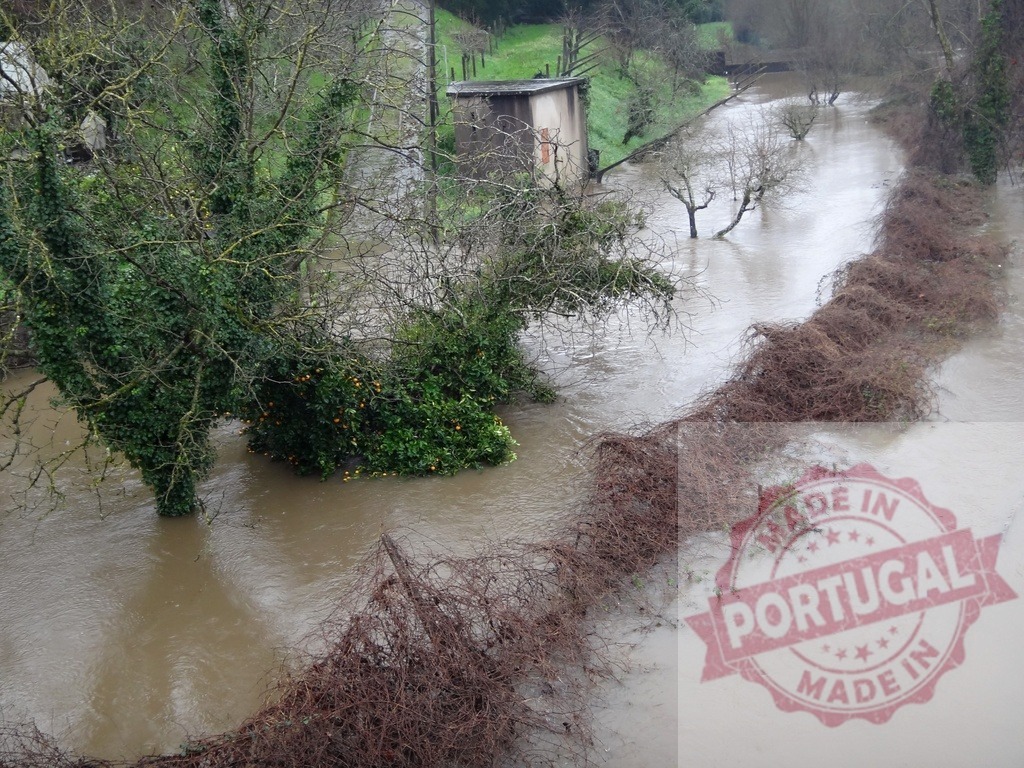 Rural river overflowing during a climate change flood. Portugal floods 02.26 - Paco de Sousa, Penafiel | River water rising and trees submerged after heavy rainfall causes a natural disaster - Realisiert mit Pictrs.com