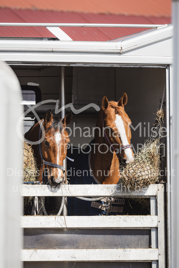 230411_Mühlen_Impressionen-101 | Verkauf nur auf Anfrag