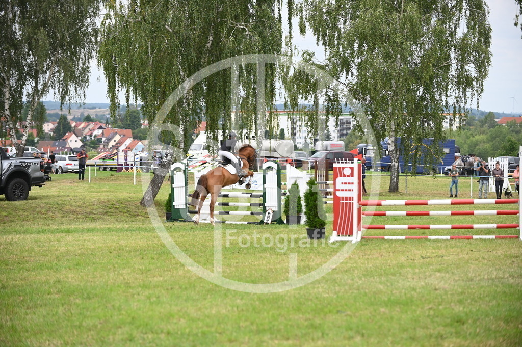 DSC_1563 | sattelsport - Realisiert mit Pictrs.com