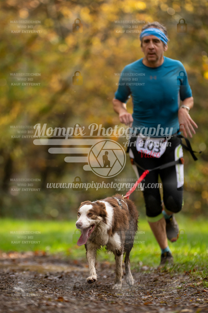 MompixPhotography_Bischwiller23_Canicross-60 | PayLife