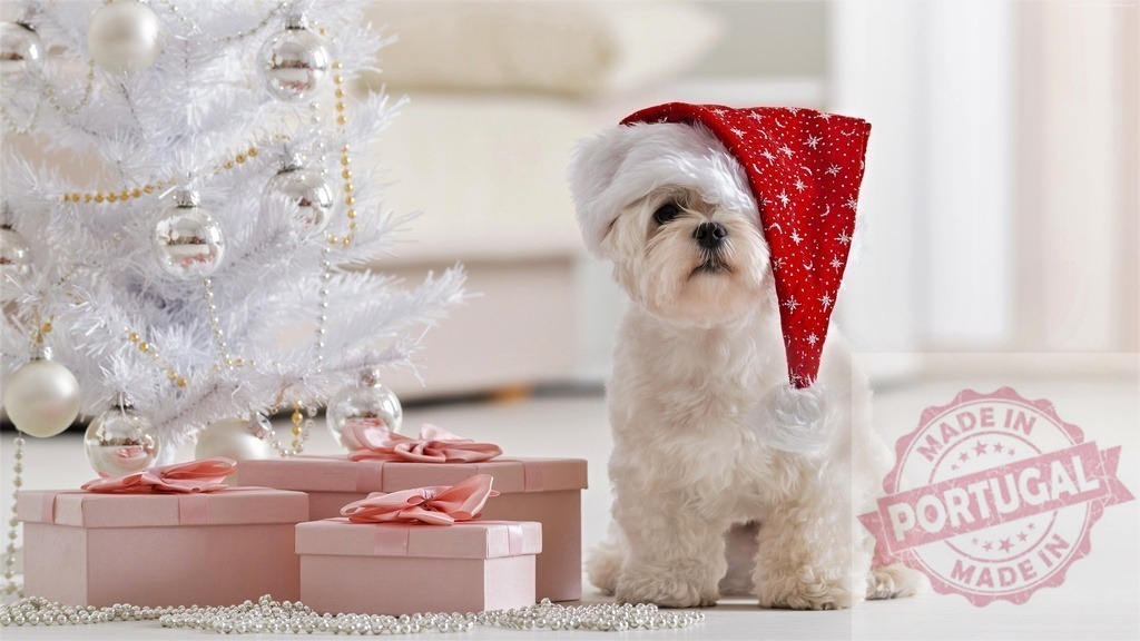 White dog wearing christmas hat sitting near christmas tree and gifts | Cute white dog wearing santa hat sitting near a christmas tree and gifts, celebrating christmas eve - Realisiert mit Pictrs.com