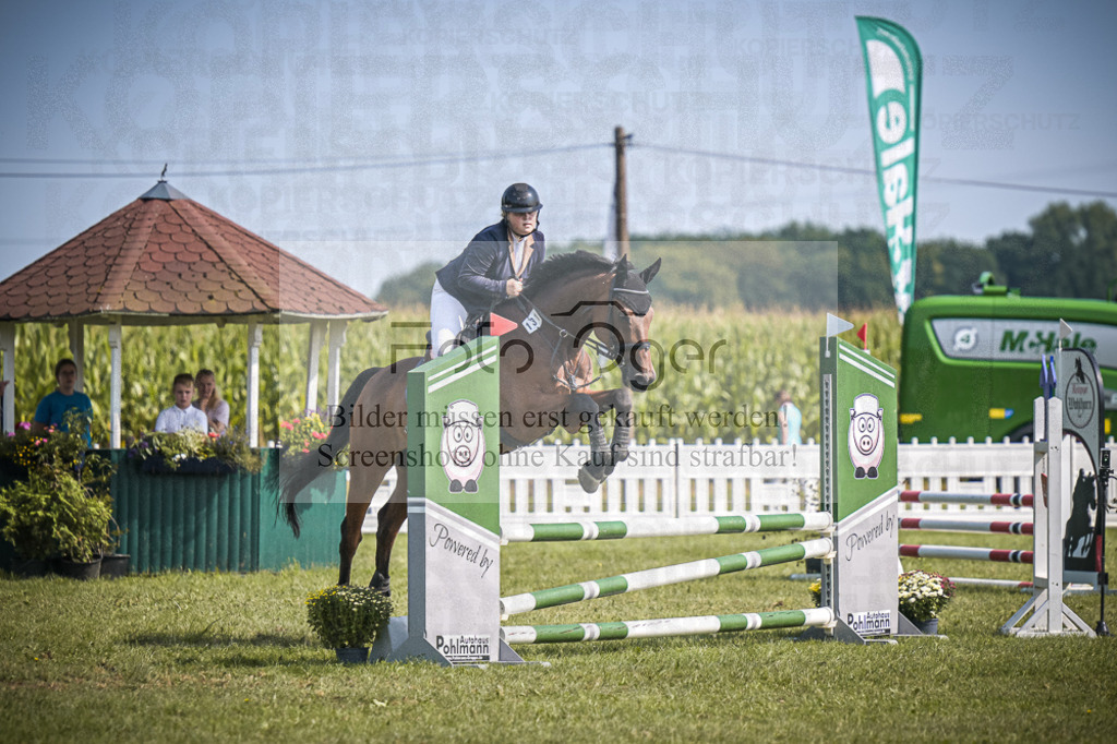 DOS_3188 | Entdecke hochwertige Reitturnierfotos von Foto Oger. Professionell, emotional und authentisch – jetzt Lieblingsmomente im Shop bestellen.Deutschlandweite Turnierfotografie. - Realisiert mit Pictrs.com