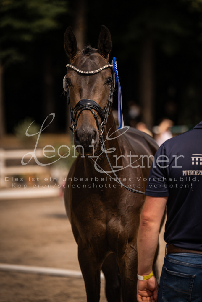 6.Fr00157 | Leoni Ertmer Photography - Realisiert mit Pictrs.com