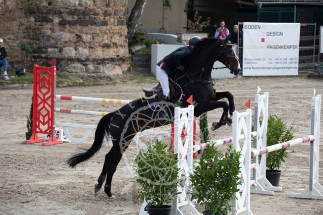 2B4A2131 | pixelfaenger - Realisiert mit Pictrs.com