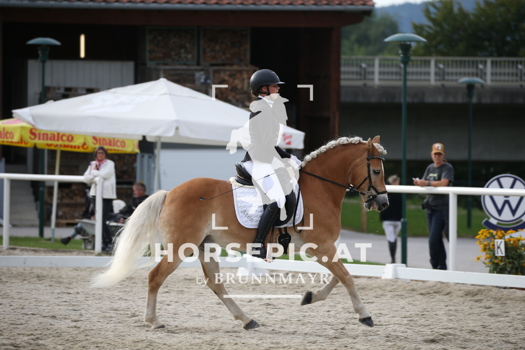 DL2Q5086 | Willkommen bei Brunnmayr - Design & Fotografie – Ihrem Spezialisten für Reitturniere und Pferdeveranstaltungen in Oberösterreich, Salzburg und Bayern! Seit über 17 Jahren sind wir leidenschaftlich dabei.