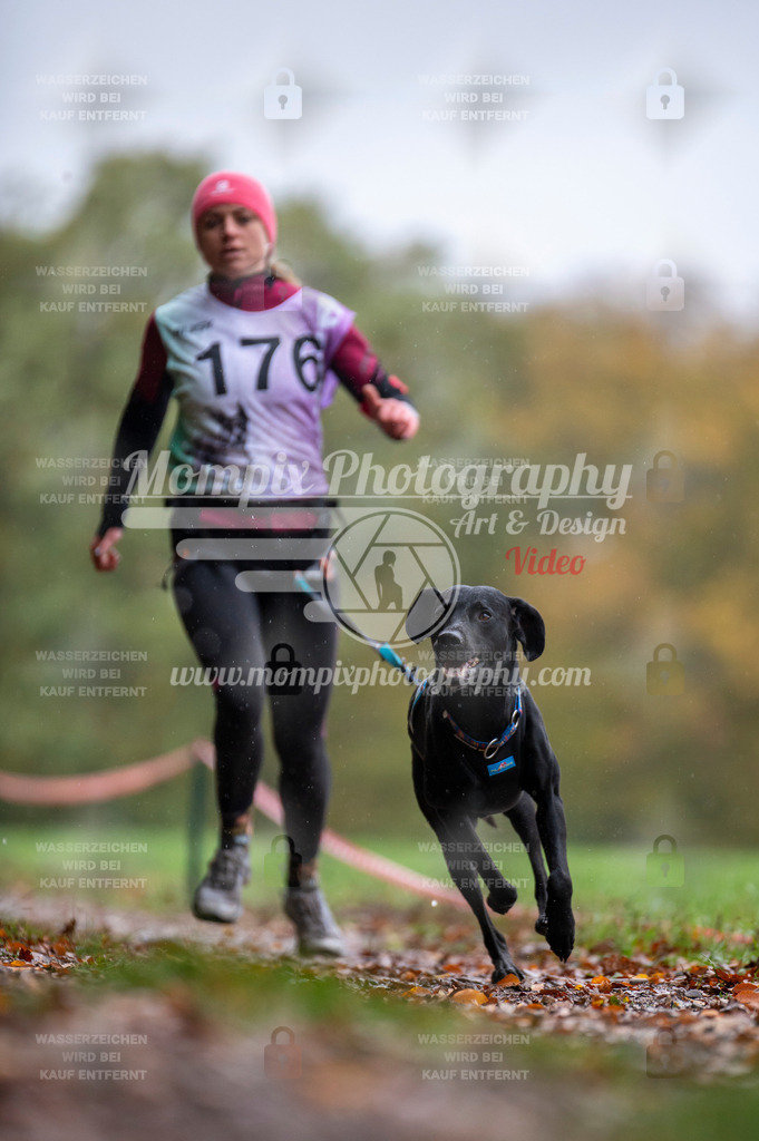 DBT_DAKM_SA_4_11_2023_Canicross-65 | PayLife