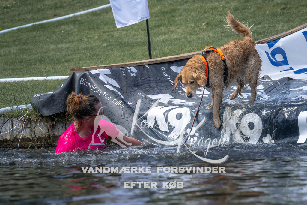 1225_ZZ97319 | kk-dogfotos