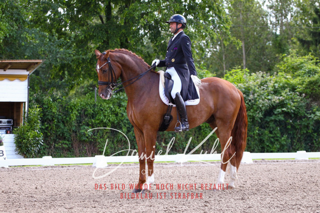 DKP41308 | Deine Turnierfotos vom Reitturnier online kaufen: Dressur, Springen & Siegerehrung. Professionelle Pferdefotografie aus dem Rheinland – als Download & Print.Alternative: Turnierfotograf für den Pferdesport: Finde deine Fotos von Dressur- und Springturnier