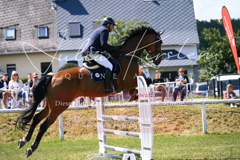 DSC_0186 | Pferde- und Turnierfotografie in Westsachsen. Pferdeportraits, Auftragszeichnungen und intuitive Kunst.