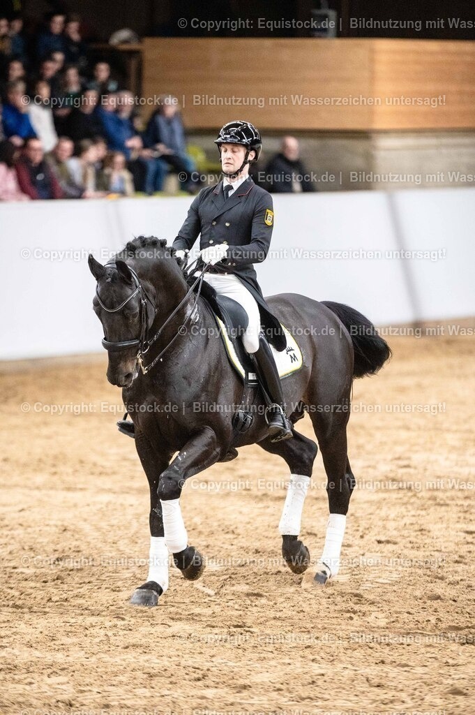 20260307_Hengstvorstellung-Marbach_0516 | equistock