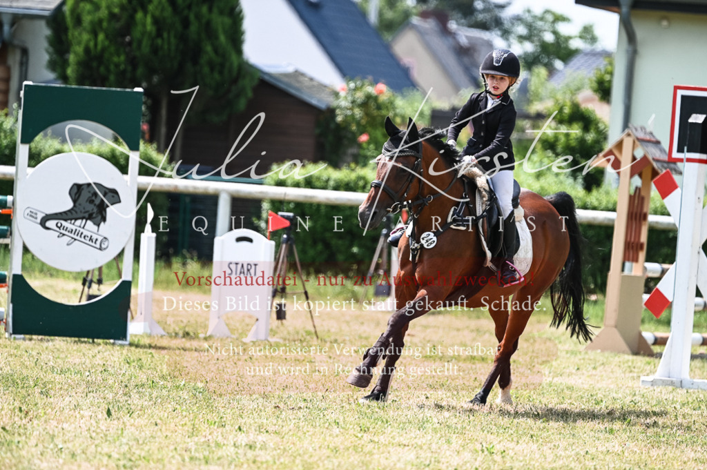 DSC_9353 | Pferde- und Turnierfotografie in Westsachsen. Pferdeportraits, Auftragszeichnungen und intuitive Kunst.