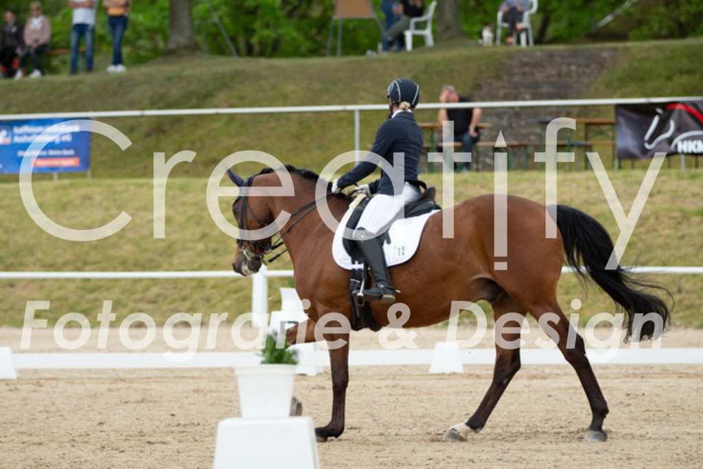 IMG_3133 | Creatify Fotografie