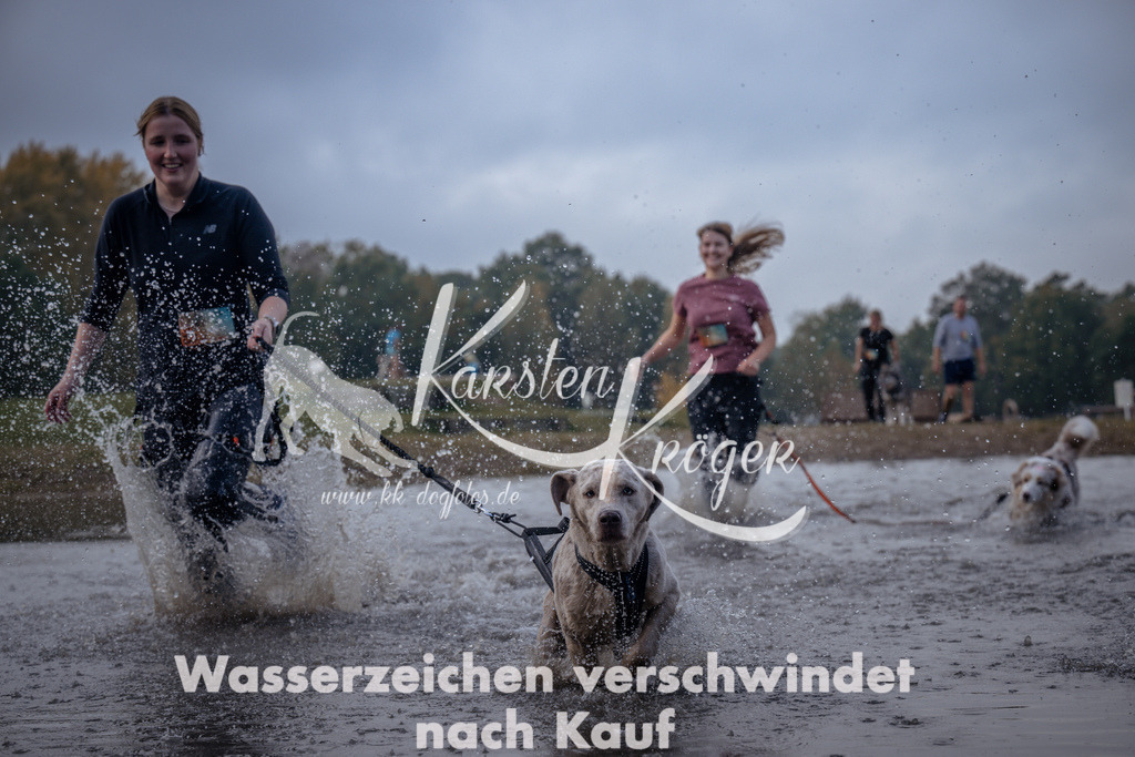 1145_ZZ96503 | kk-dogfotos