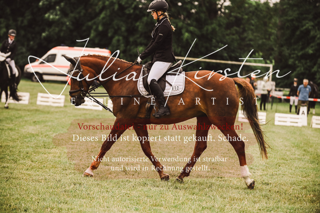 DSC_4812 | Pferde- und Turnierfotografie in Westsachsen. Pferdeportraits, Auftragszeichnungen und intuitive Kunst.