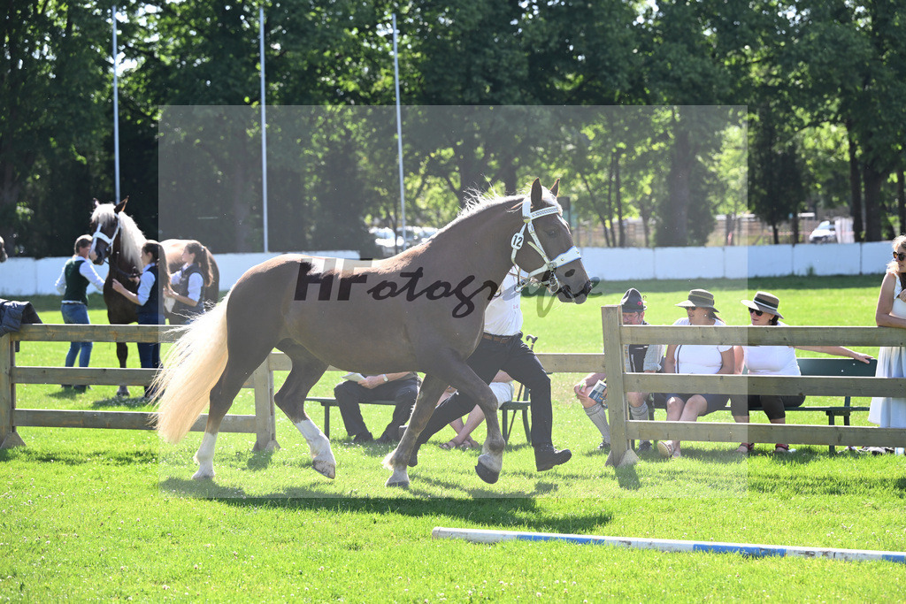 Kat-Nr. 12 Isar H v. Sribery_Hoeck_18250208 | hf-fotografie - Realizzato con Pictrs.com