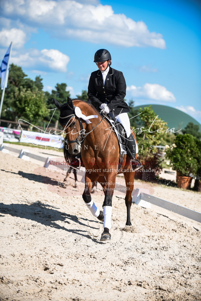 DSC_9757 | Pferde- und Turnierfotografie in Westsachsen. Pferdeportraits, Auftragszeichnungen und intuitive Kunst.