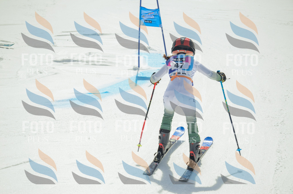 _ELE5151 | holidayphoto