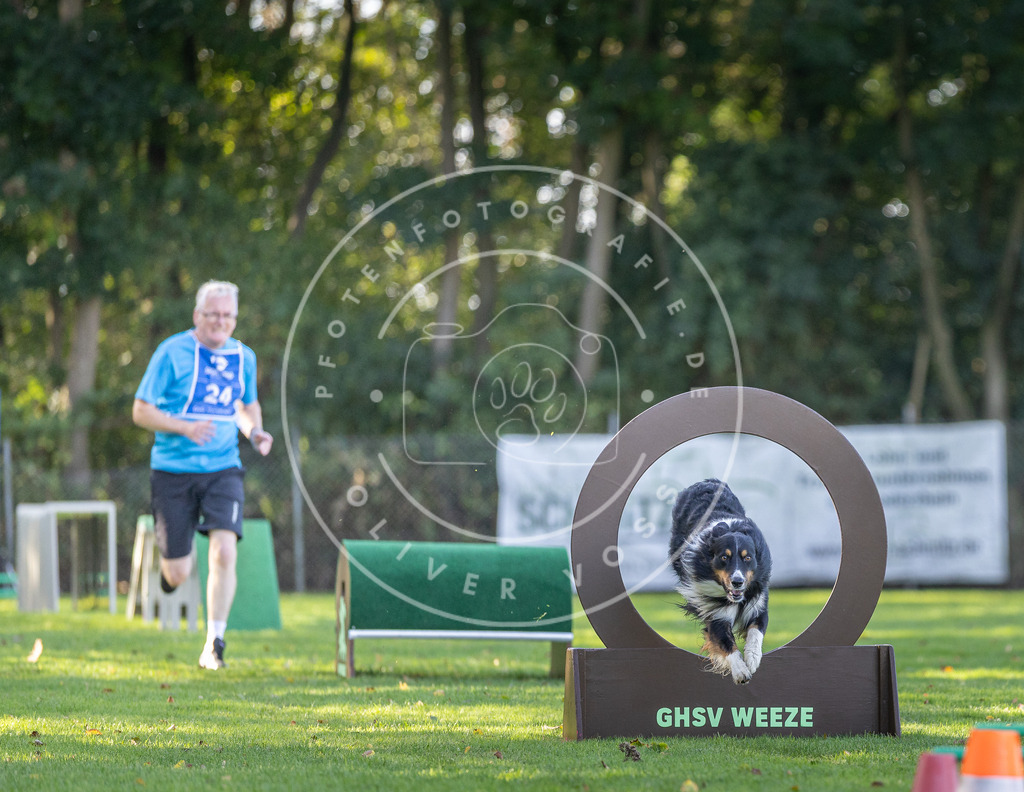 Pfotenfotografie.de_DV3A3548 | Hundefotografie, Tierfotograf, Pfotenfotografie, Fotoshooting Hund, Hunde Portrait, Hundesport, Hundeportraits, Heideshooting, Hunde, Sportfotograf, Hundefotograf, Turnierhundsport, THS, canicross - Realisiert mit Pictrs.com