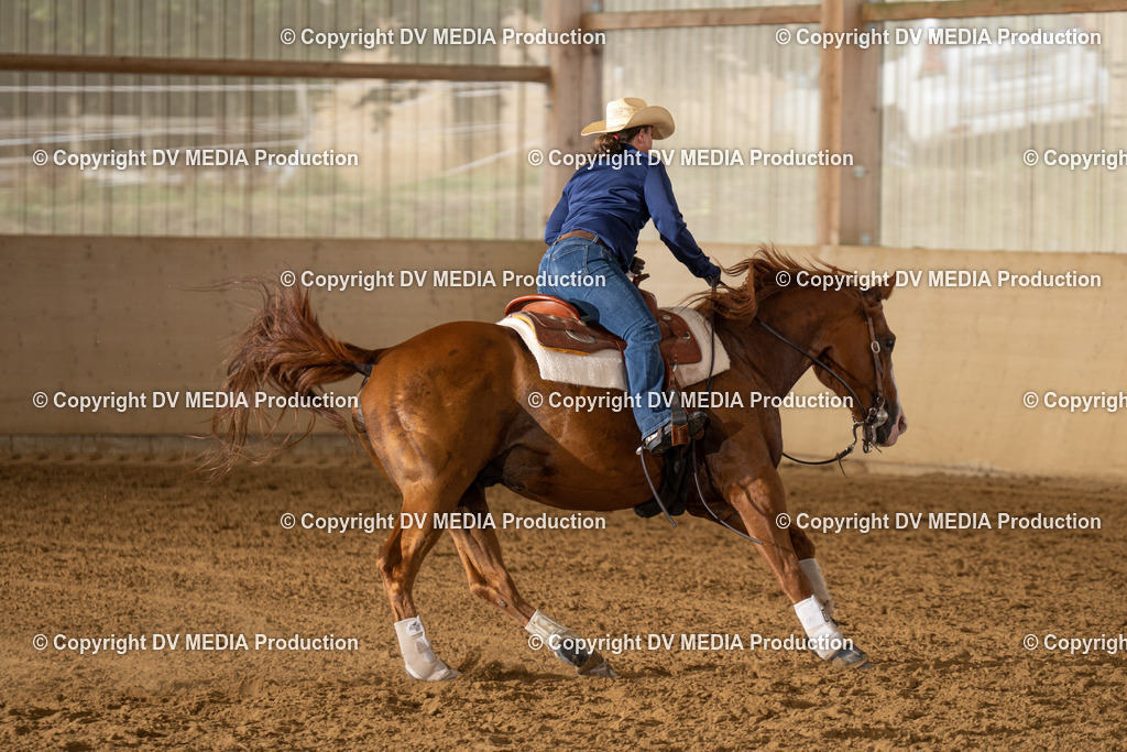 LAU01510 | dv-media-shop - Realisiert mit Pictrs.com