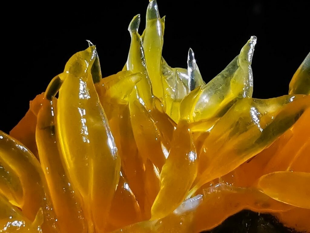 PSX_20230105_230059 | mtkfoto_ - Realisiert mit Pictrs.com