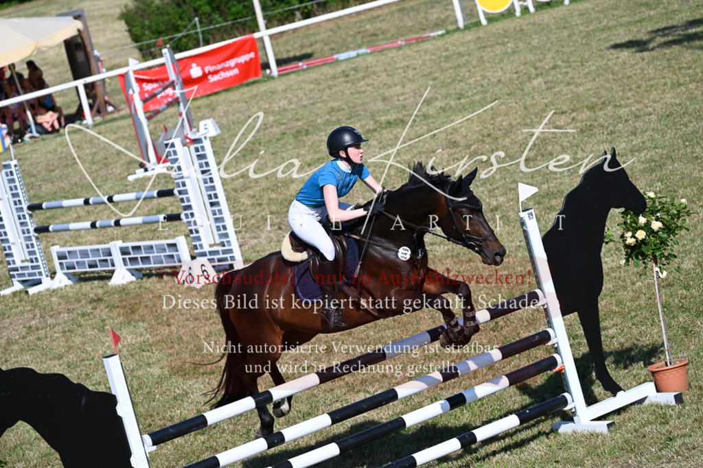 DSC_2368 | Pferde- und Turnierfotografie in Westsachsen. Pferdeportraits, Auftragszeichnungen und intuitive Kunst.