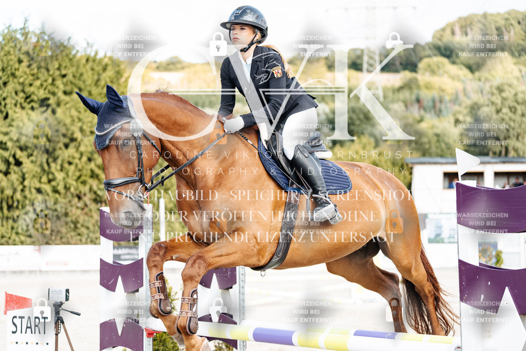 CK903186 | Turnierfotografie Pferdefotografie Trier Rheinland-Pfalz Pferdesport Reitsport Tierfotografie Sportfotografie Pferdevideo Pferdevideografie Equestrianvideography equestrianphotography  - Realisiert mit Pictrs.com