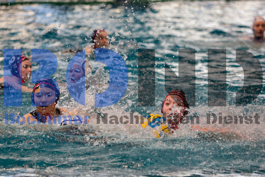 SES_BOCSPA20250209-7 | bond - Realisiert mit Pictrs.com